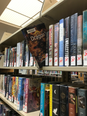 Dragon? Stories from the People of the Archives
