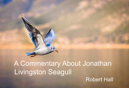 A Commentary About Johnathan Livingston Seagull